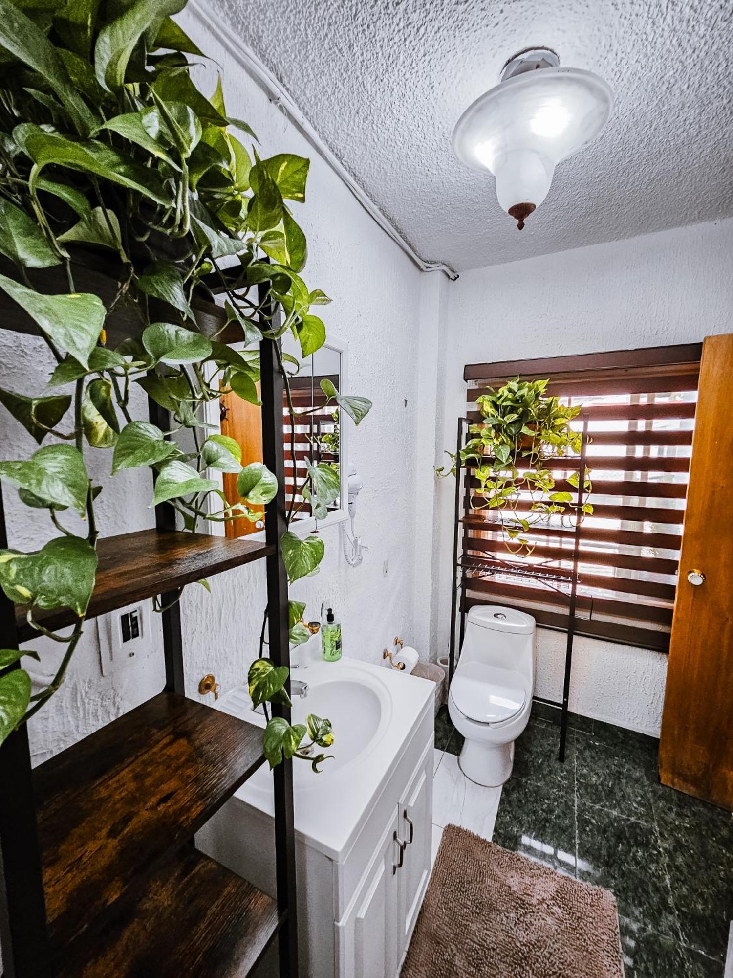 Habitacion Con Bano Privado B, Centro De Coyoacan Meksika Dış mekan fotoğraf